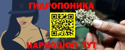 гидра Можга