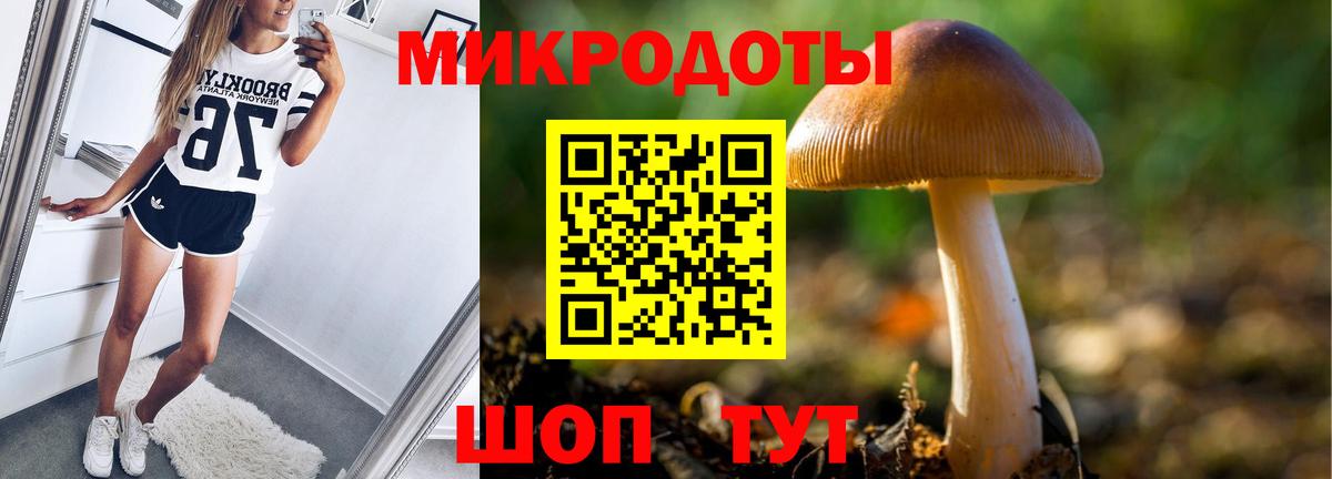 Псилоцибиновые грибы ЛСД  Вход с VPN  где купить наркоту  Черняховск 